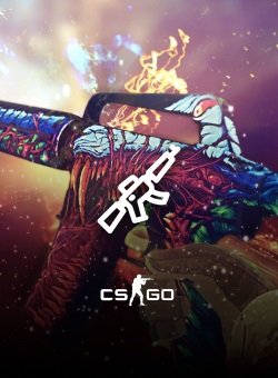 CSGO Skin